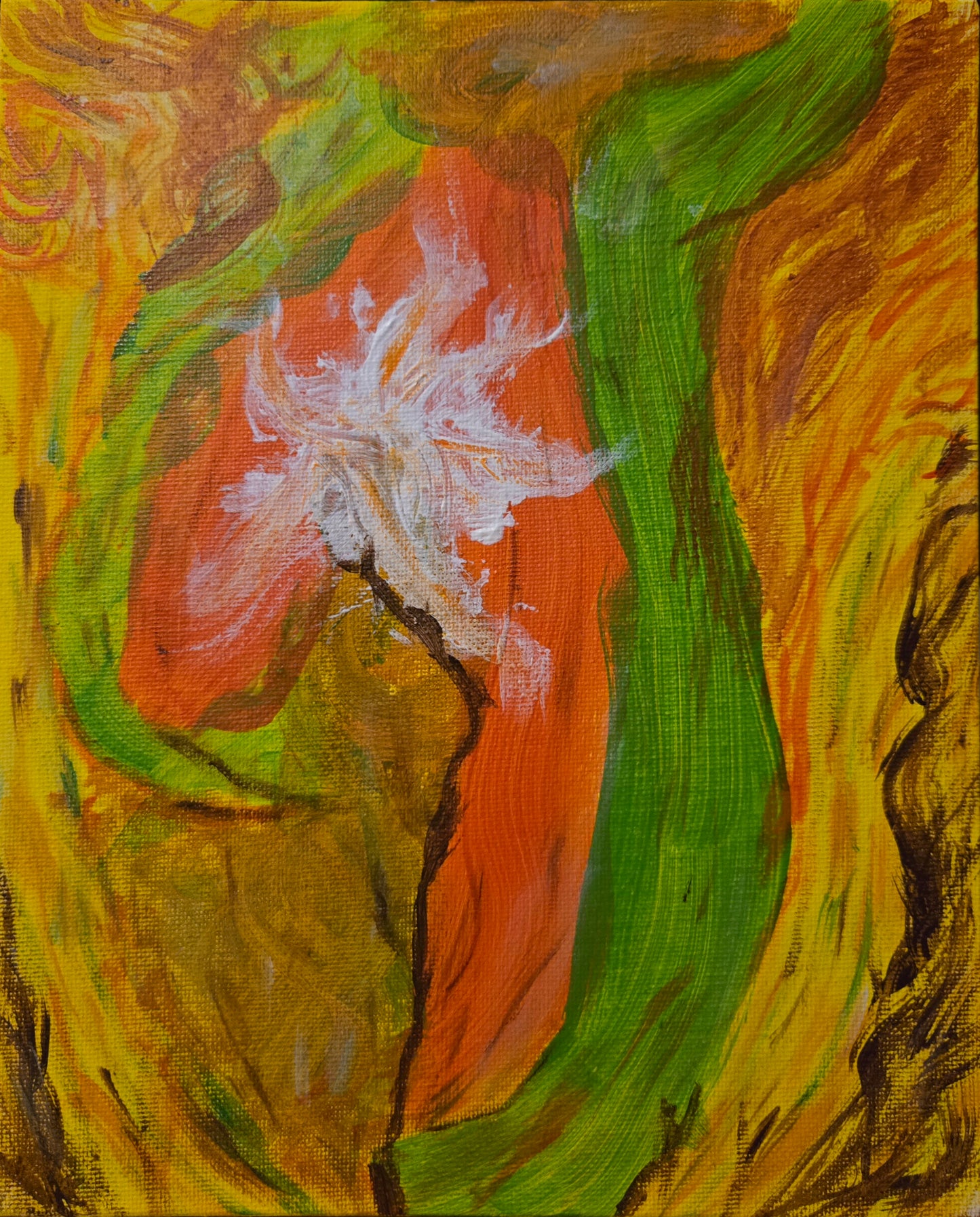 Daffodil’s Shadow 8x10