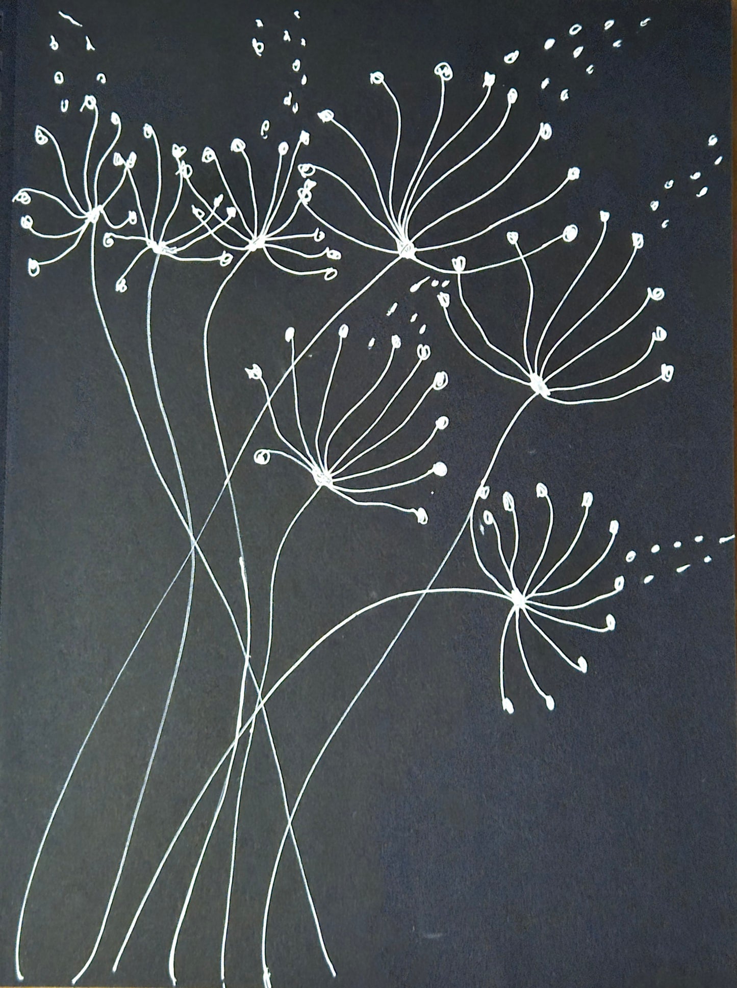 Stardust Botanicals 9x12