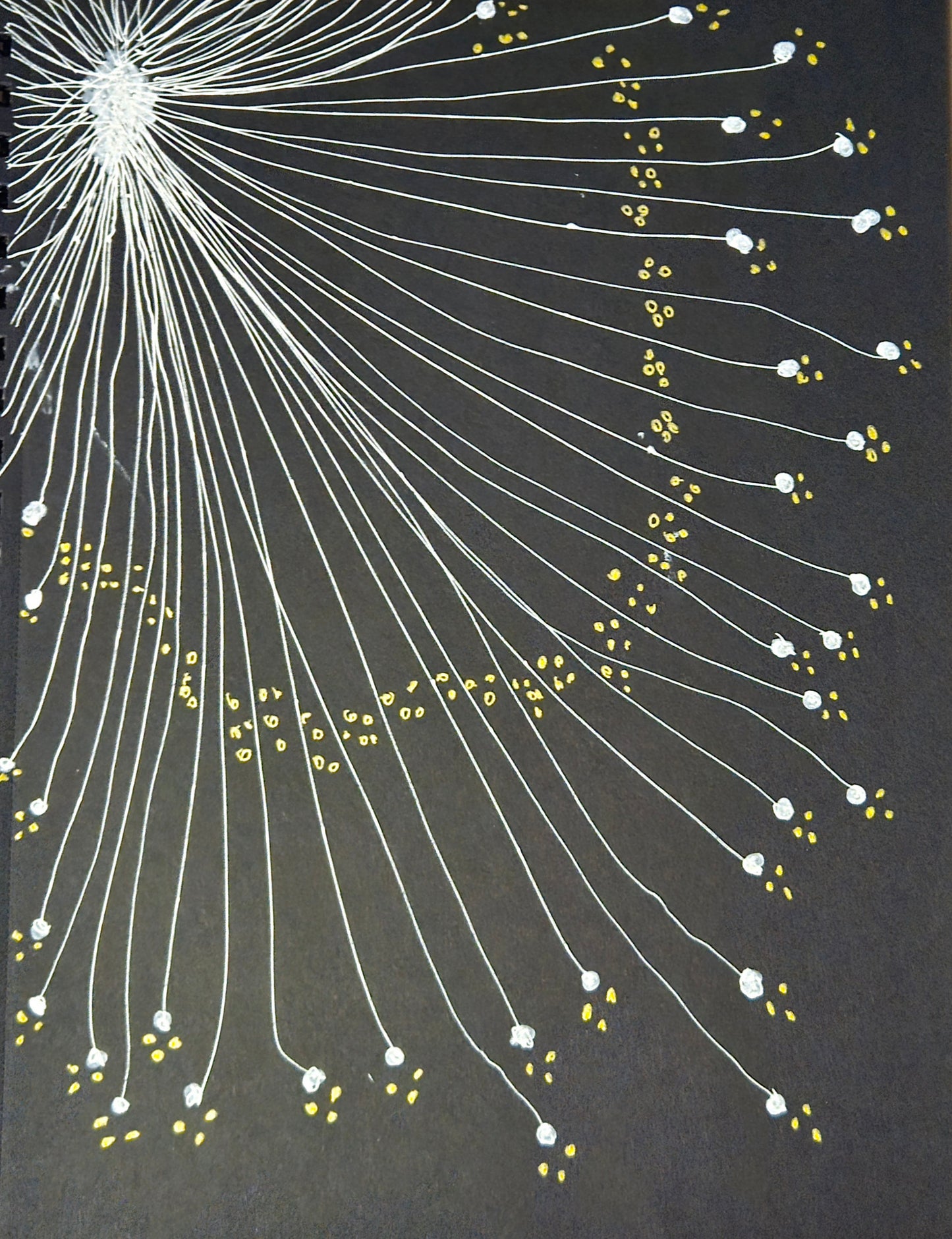 The Burst 9x12