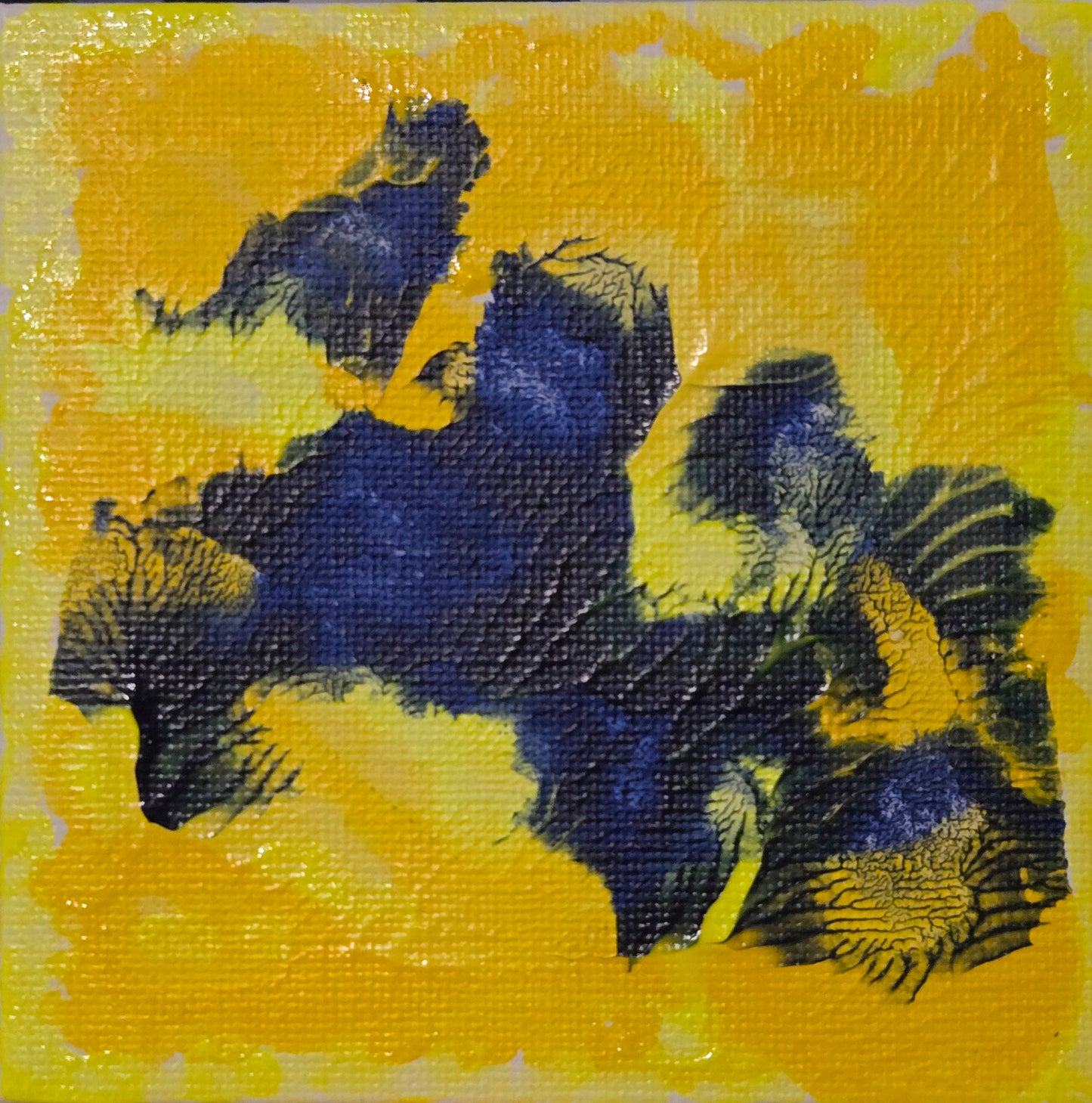 Midnight Bloom 4x4