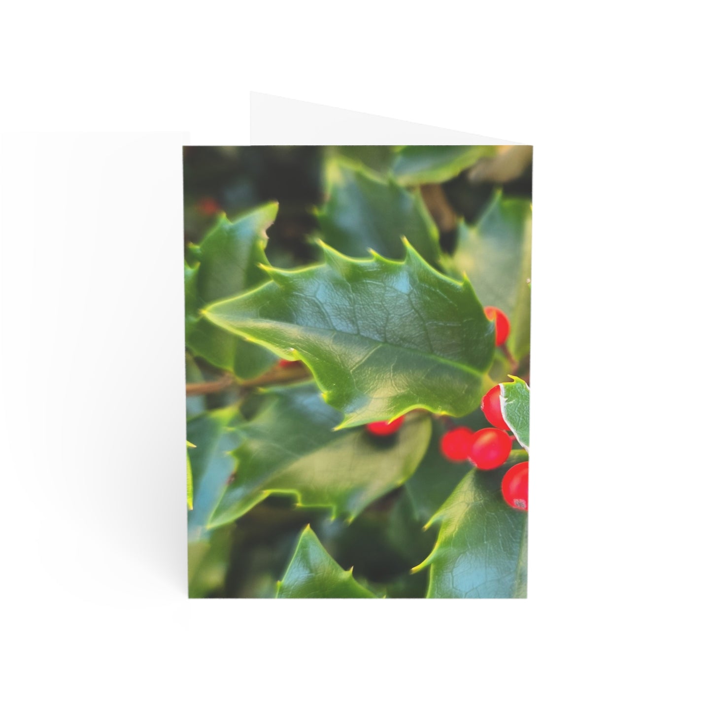 Holly photograph-Holiday Greeting Card — Blank Inside (Single or Bulk Packs)