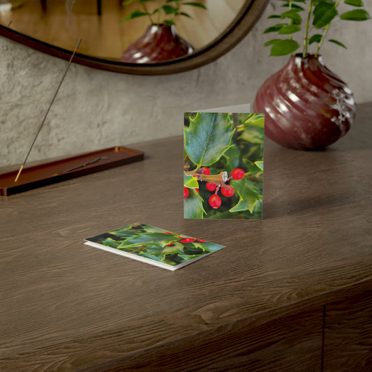 Holly photograph-Holiday Greeting Card — Blank Inside (Single or Bulk Packs)
